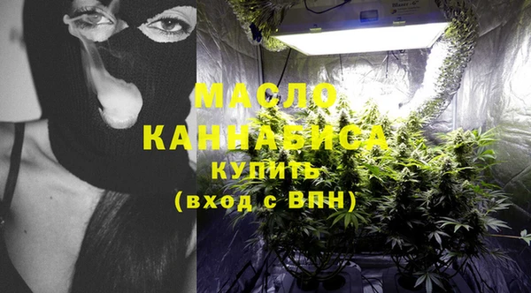 шишки Снежногорск