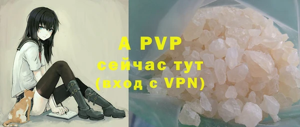 молекула духа Белокуриха