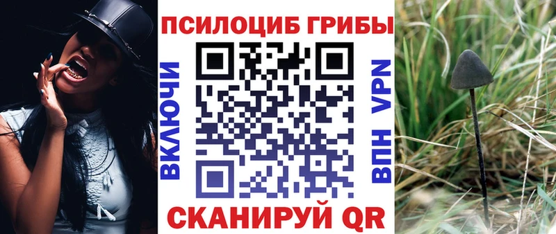 наркота  Нея  Галлюциногенные грибы Psilocybe 